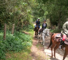 10 Day Casanare Ride: The Old Cattle Road of Almeidas Province - Horse Riding Holiday in Colombia - Photo 2