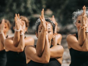 7 Day Nature and Village Vibe Yoga and Meditation Retreat in Koh Samui, Thailand