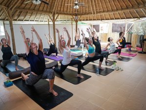 7 Day 60hr Yin Yoga and 5 Elements of Traditional Chinese Medicine Training in Canggu, Indonesia