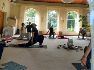 Alchemy Yoga Teachers