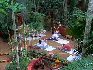 4 días en retiro de yoga y meditación en la Reserva Yacutinga de Alto Iguazú, Misiones, Argentina