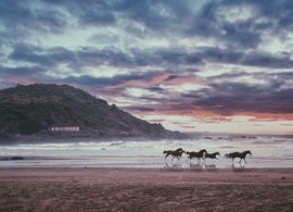 Gokarna Retraites et Voyages