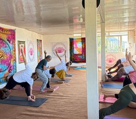 25 jours-200h en formation de professeur de yoga multi-style à Dharamshala, Inde - Photo 5