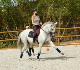 6 Day Normal Dressage Holiday with Lusitano Horses in Alenquer, Centro Region, Portugal - Photo 3