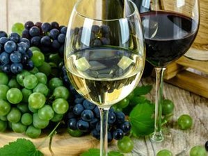13 Day "Grape Expectations - Wine Festival in Portugal"