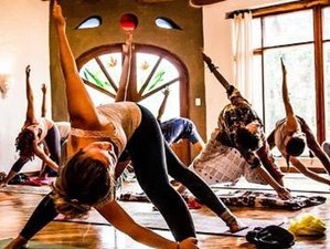 12 Day 100-Hour Yoga Teacher Training in Wusterwitz, Brandenburg