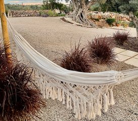 10 Day Luxury Yoga Retreat in Portugal - Photo 5