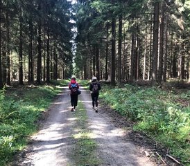5 Tage Yoga und Wandern, ein Programm für die Seele im Erzgebirge, Sachsen, Deutschland - Photo 2