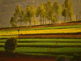 Ooty Retraites et Voyages