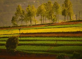 Ooty Retreats & Trips