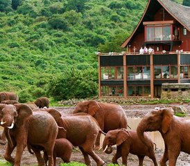 5 Tage 4x4-Jeep-Safari in Kenia durch die Aberdare-Berge, das Ol-Pejeta-Schutzgebiet und das Samburu-Reservat - Photo 4