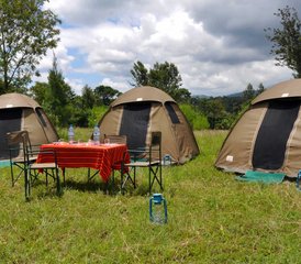 6 jours en safari camping économique en Tanzanie : lac Manyara, Serengeti et Ngorongoro - Photo 4