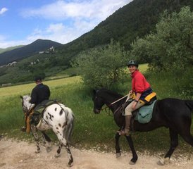 8 Tage Springreiten- oder Dressurtraining mit Ausreiten in Spoleto, Provinz Perugia, Italien - Photo 4