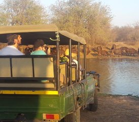 4-Daagse Lodge- en Boomhut-Safari in Balule Nature Reserve en Kruger National Park, Zuid-Afrika - Photo 3
