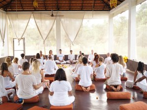 25 Day 200-Hour Yoga Teacher Training in Mandrem Beach, North Goa
