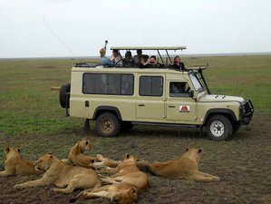 4 Day Tanzania Classic Safari at Tarangire and Serengeti National Parks and Ngorongoro Crater
