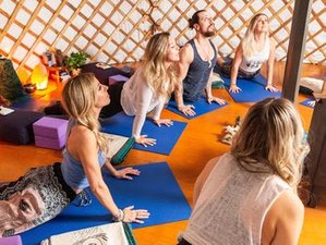 4 Day Ayahuasca Retreat in Málaga, Spain with Rapé, Yoga, and Meditation