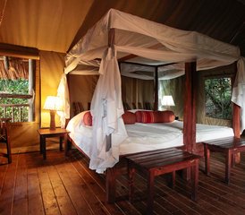 15 Day Wildlife, Apes, Chimpanzees, and Nature Safari Tour in Uganda - Photo 5