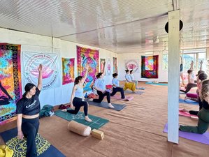 28 Day 300-Hour Advanced Multi Style Yoga Teacher Training in Dharamsala, India