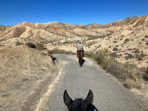 3 Day Horseriding Holiday in the Desert of Tabernas, Spain