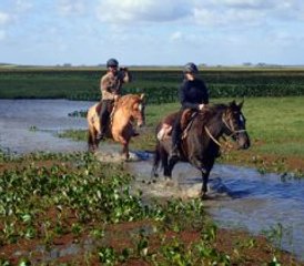 7 jours vacances équestres Los Chajá à Barra de Valizas, Rocha, Uruguay - Photo 5