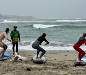 44 Day Exciting Surf Camp with Sandboarding in The South of Lima in Punta Hermosa, Peru - Photo 1