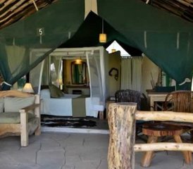 7 Days Luxury Safari in Kenya, East Africa - Photo 4