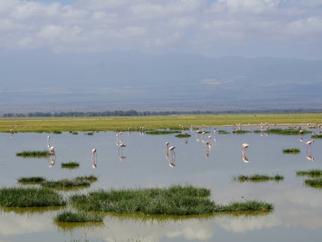 Rift Valley lakes