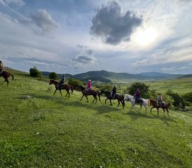 4 Day Center-Based Horse Riding Holiday in Tetritskaro, Georgia - Photo 3