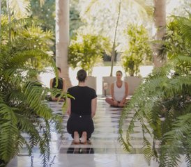 4 Día Retiro de Yoga y Meditación en Mérida, México - Photo 2