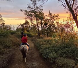 87 jours en séjour équestre guidé à La Réunion, France - Photo 1