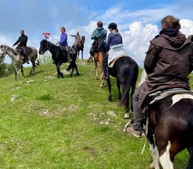 8 Tage Sumadija Trail Pferdereittour in Westserbien - Photo 5