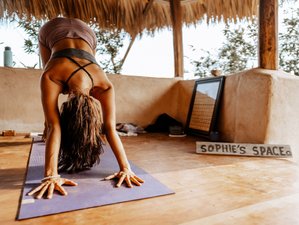 7 Day Connect to Your Power: Surf and Yoga Retreat in Puerto Escondido, Oaxaca