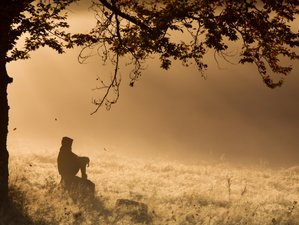 Month-long Personal Retreat with Silence and Meditation in Hoisdorf