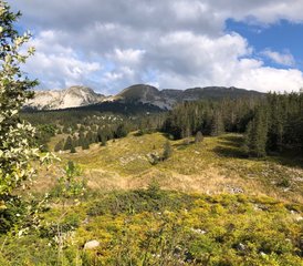 3 Tage Wochenend-Retreat für Restauratives Yoga und Wandern in La Chapelle-en-Vercors, Drôme, Frankreich - Photo 4