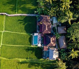 97-tägiger Yoga-Urlaub voller Spaß und Kultur mit Klangheilung für Alleinreisende auf Bali, Indonesien - Photo 1
