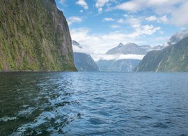 Milford Sound Retreats & Trips