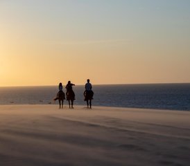 8 jours de yoga, soins énergétiques et Ayurveda à 20 min de Jericoacoara au Nord Est du Brésil - Photo 4