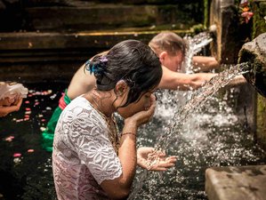 4 Day Purification Journey Yoga Retreat in Bali, Indonesia with Temple Visit and Balinese Boreh