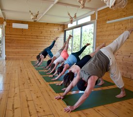 15 jours-200h en formation de professeur de yoga thérapeutique à l’île d’Eubée, Grèce - Photo 5