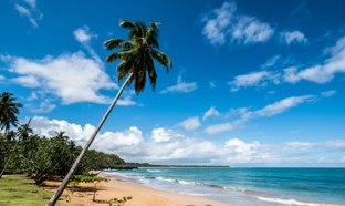 Provincia de Samaná Retiros y Viajes