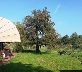 3-Daagse Kundalini Yoga en Human Design Retreat in Ossenzijl, Nederland - Photo 5