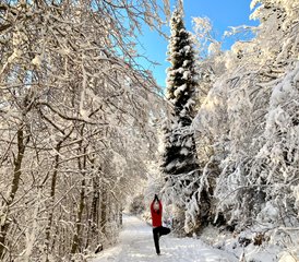 74 Day Weekend Cross-country Skiing Holiday with Yoga in Ålesund, Norway: Nature, Zen, Snow Fun! - Photo 1