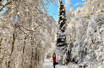 4 Day Weekend Cross-country Skiing Holiday with Yoga in Ålesund, Norway: Nature, Zen, Snow Fun!