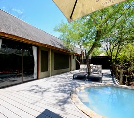 26 Tage Luxus-Safari im Balule Naturreservat und Kruger-Nationalpark, Südafrika - Photo 1