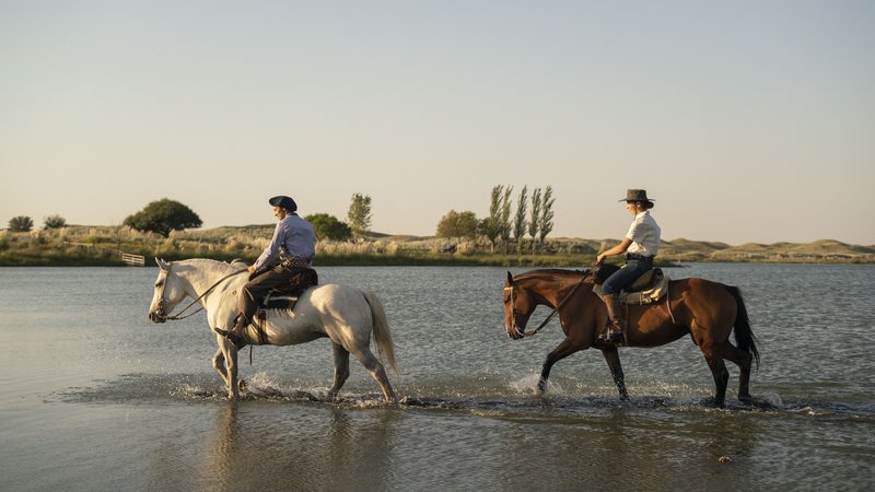 4 Day Argentinean Cattle Ranch Experience and Horse Riding Holiday in La Pampa, Argentina