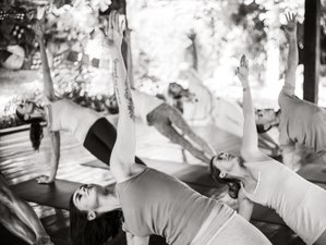 6 Day Private Restorative Yoga Retreat in Bali, Indonesia