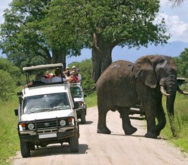 53 días de safari de acampada en Masái Mara con paseo en globo aerostático - Photo 1