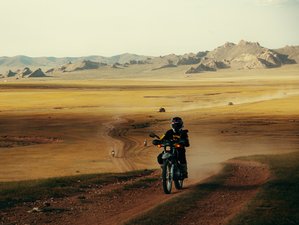 8 Day Serow Gobi Guided Motorcycle Tour in Mongolia