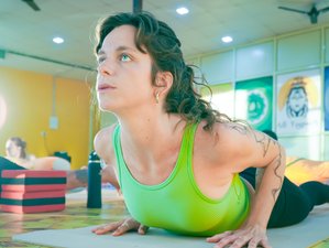 28 Tage 300-Stunden Traditionelle Kundalini Yogalehrer Ausbildung für Fortgeschrittene in Rishikesh